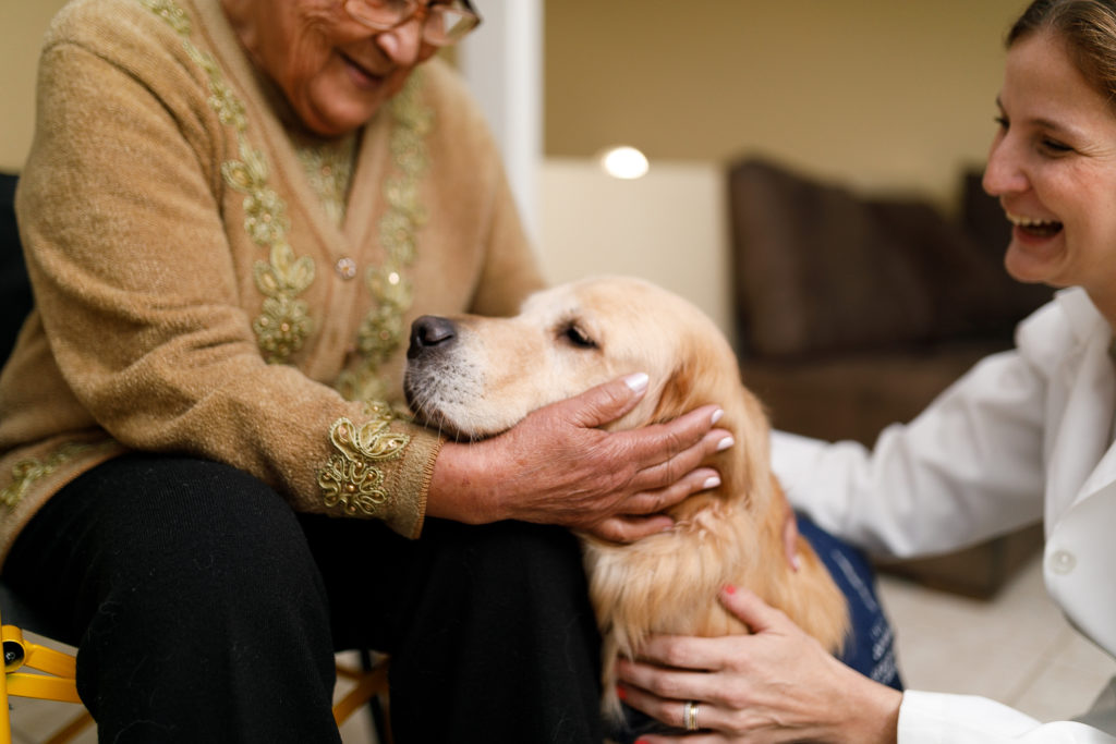 Tiergestützte Intervention-Ältere Frau streichelt Hund-Fachkraft für tiergestützte Intervention