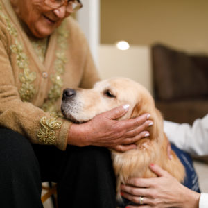 Tiergestützte Intervention-Ältere Frau streichelt Hund-Fachkraft für tiergestützte Intervention