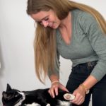 Tierakademie-Stollberg-ganzheitlich-Erwachsenenbildung-Traumberuf-Weiterbildung-Fortbildung-Tiere bewegen-Sachsen-Physiotherapie-Kleintier-Katze-Kaninchen,.