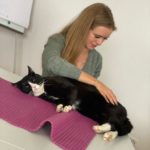 Tierakademie-Stollberg-ganzheitlich-Erwachsenenbildung-Traumberuf-Weiterbildung-Fortbildung-Tiere bewegen-Sachsen-Physiotherapie-Kleintier-Katze-Kaninchen..,