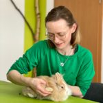Tierakademie-Stollberg-ganzheitlich-Erwachsenenbildung-Traumberuf-Weiterbildung-Fortbildung-Tiere bewegen-Sachsen-Physiotherapie-Kleintier-Katze-Kaninchen...