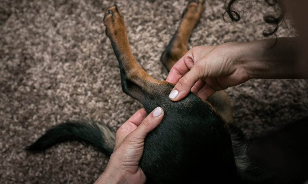 Lymphdrainage