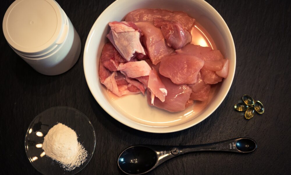 Hundeernährung roh