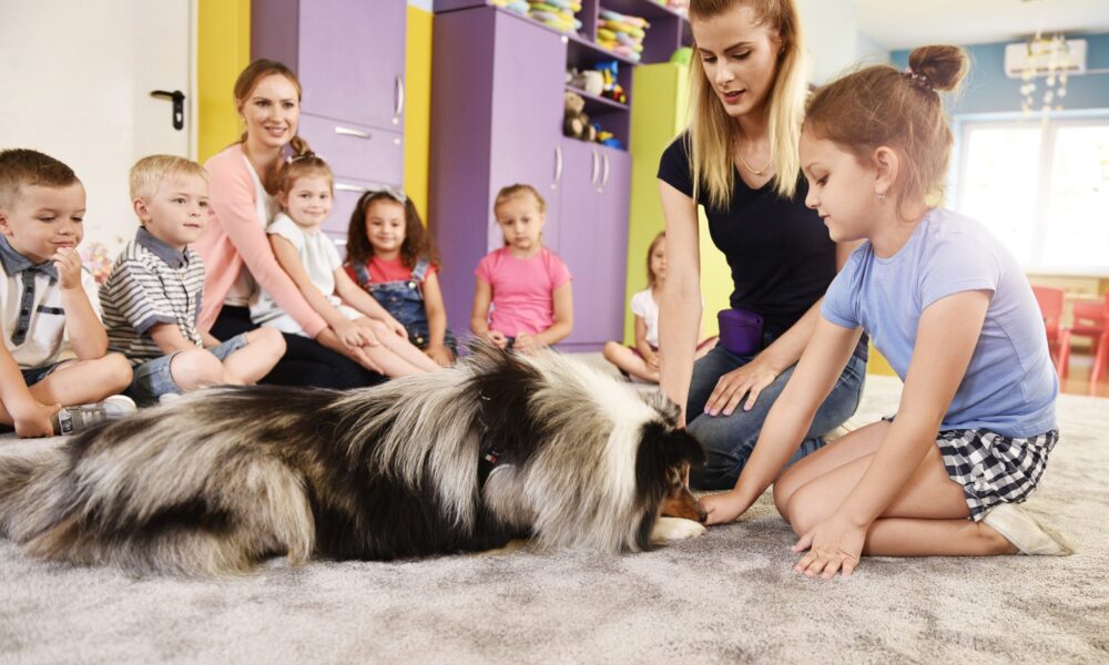 Schulhund