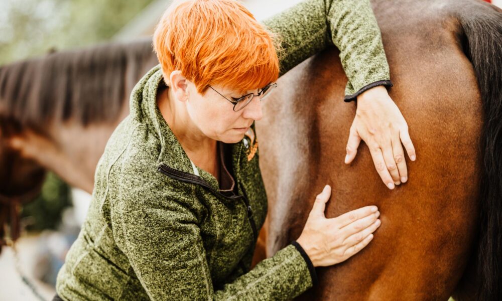 Tierakademie-Stollberg-ganzheitlich-Erwachsenenbildung-Traumberuf-Weiterbildung-Fortbildung-Tiere-bewegen-Sachsen-Stephanie-Reineke-Neurofasinale-Regulationstherapie-Tierosteopathie